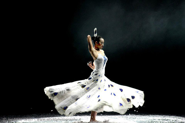 Solo Dance of Peacock, 13